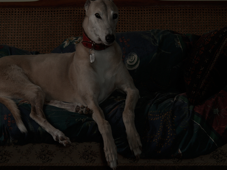C., Household