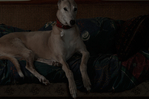 C., Household