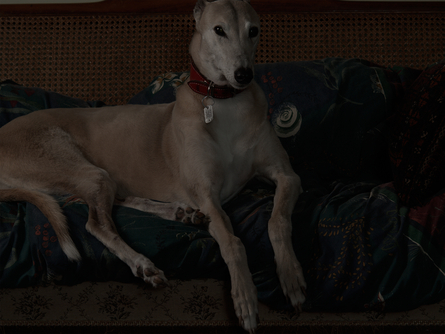 C., Household