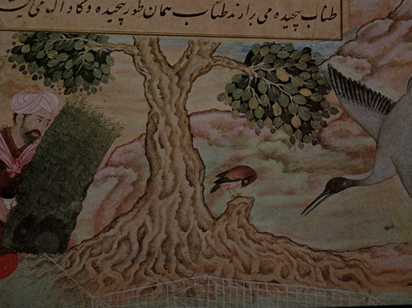 Bird catching at Bārān (Bhāg)