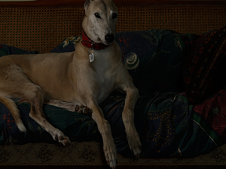 C., Household