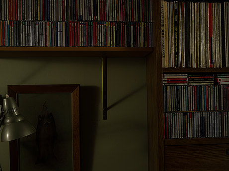 Shelves, No. 1