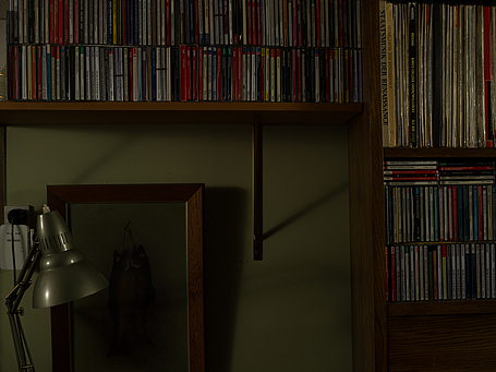 Shelves, No. 1
