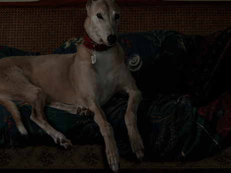 C., Household