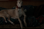 C., Household