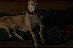 C., Household