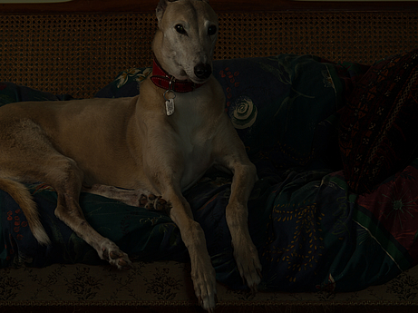 C., Household, Oxford